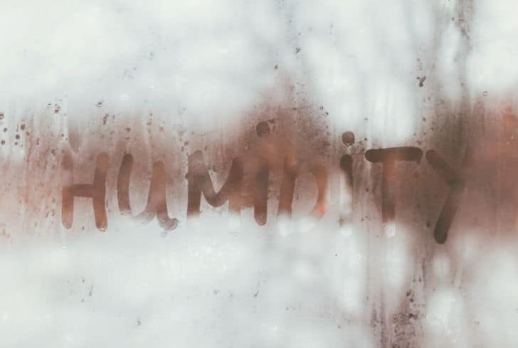 潮濕是如何造成空氣污染的？