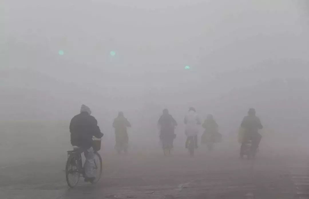 空氣污染如何殺死植物和動(dòng)物？