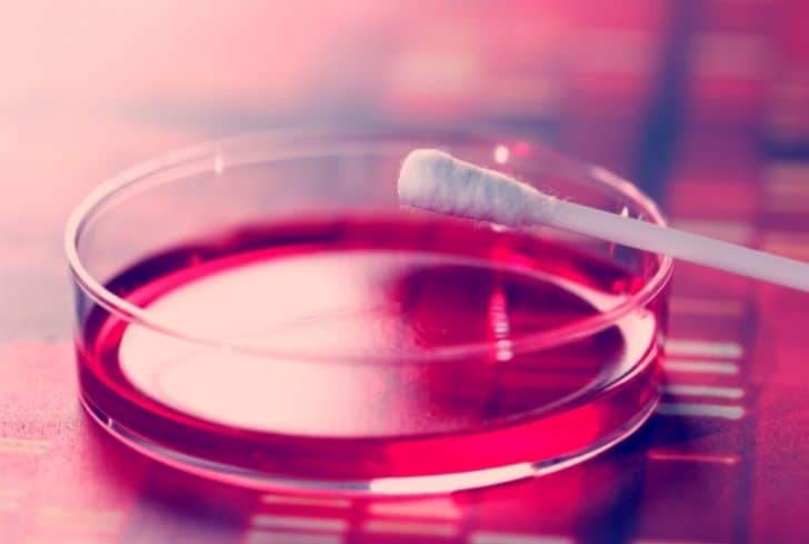 Q-Tips 是否可回收？